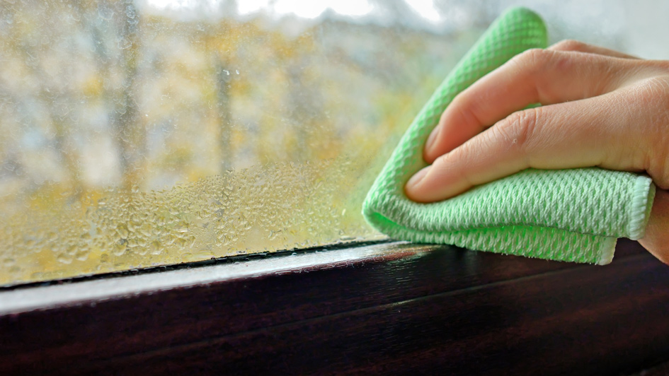 Why Windows Sweat Indoors and How to Stop It